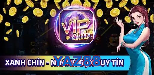 YAZ88